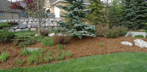 landscape cedar mulch