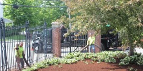 landscape hemlock mulch