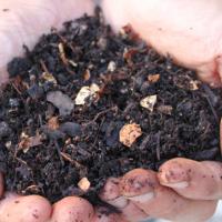 Compost contributions and fertilizer