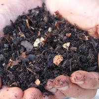 Compost contributions and fertilizer