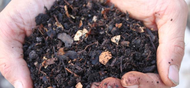 Compost contributions and fertilizer